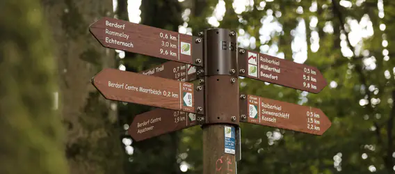 Getting ready for A Multiday Long-Distance Hike on the Müllerthal Trail