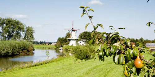 🍎Cycling Through Blossoms and Along the Linge