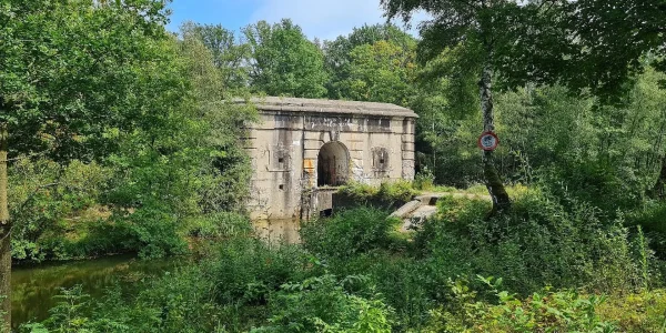 single-post-lightbox-gallery-3336-250415-223603-001